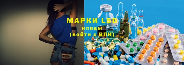 прущие грибы Тутаев