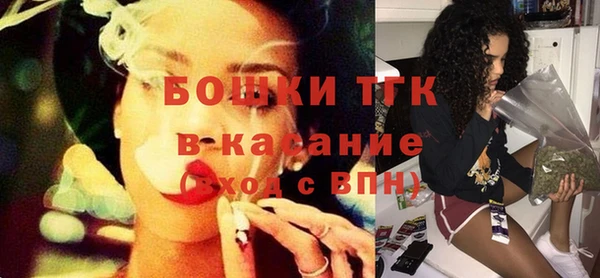 прущие грибы Тутаев