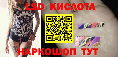 индика Сланцы