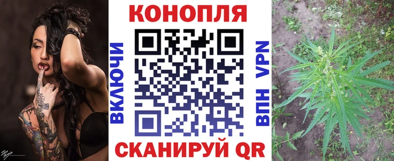 Шишки марихуана планчик Снежинск